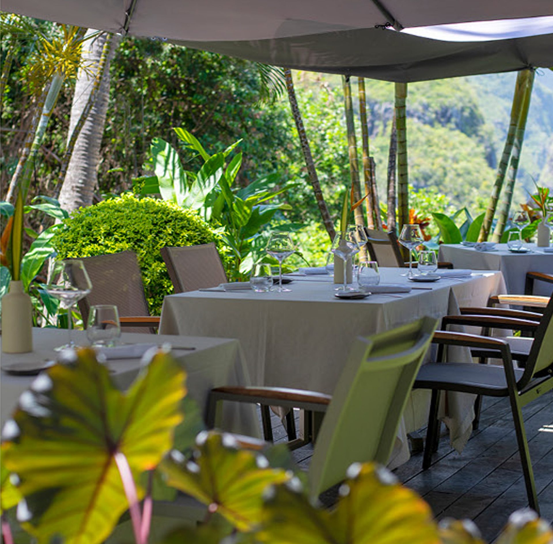Terrasse extérieure de Villa Fleurié avec vue sur la végétation